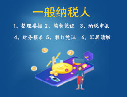 一般纳税人记账